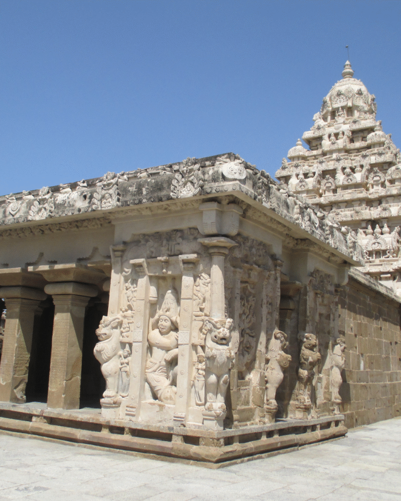 untitled design (29)